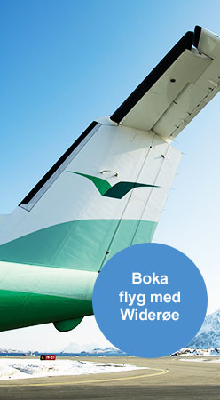 Bestill fly med Brussels Airways